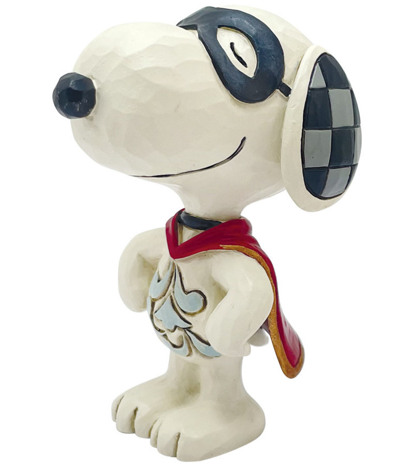 JS6016581 - Snoopy Superhero