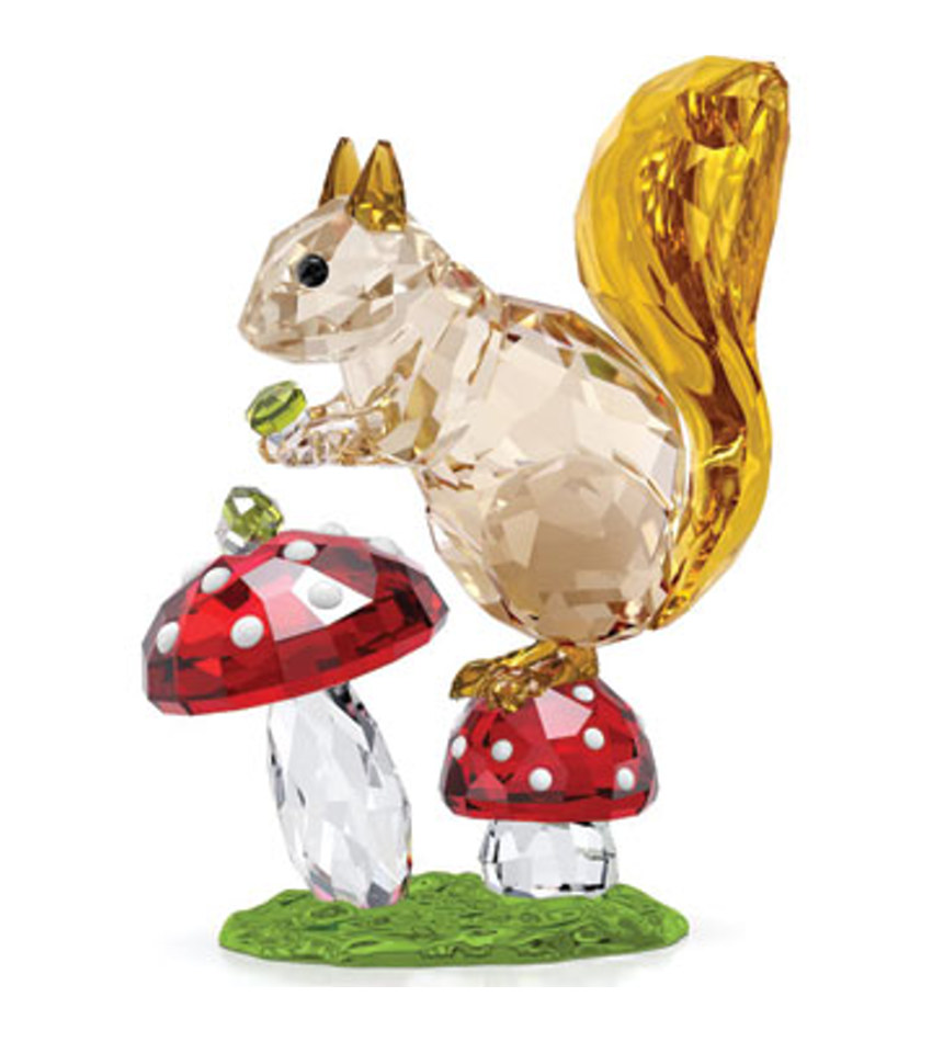 S5684343 - Squirrel & Mushrooms