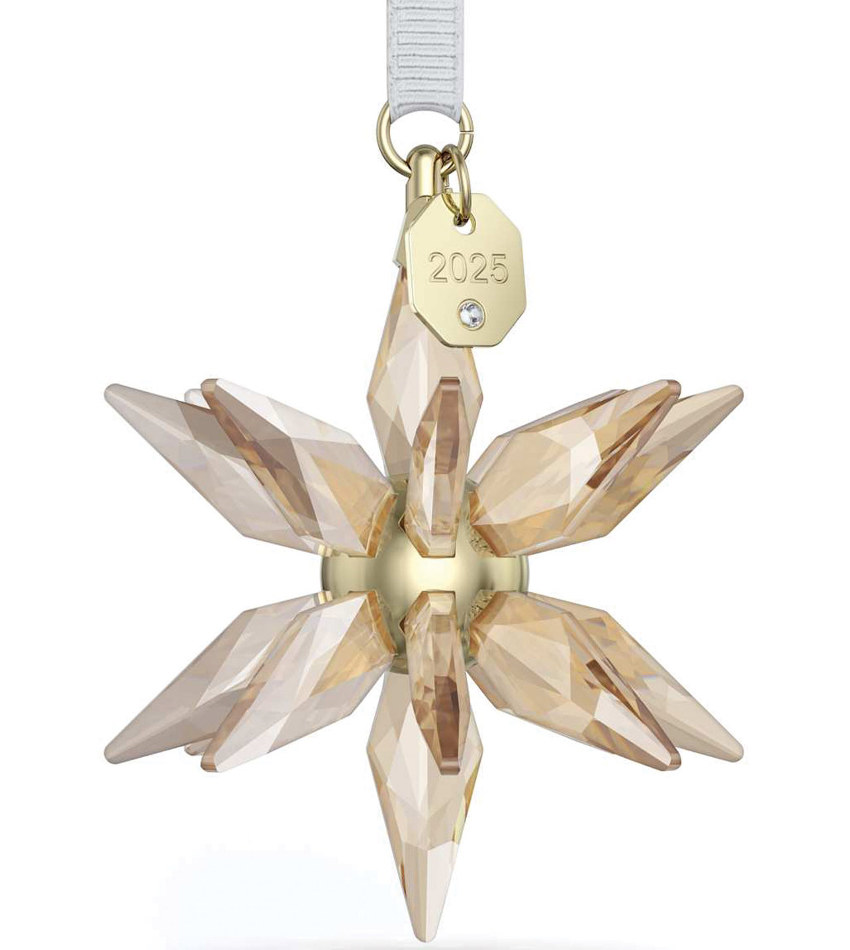S5701505 - 2025 Annual Festive 3D Ornament