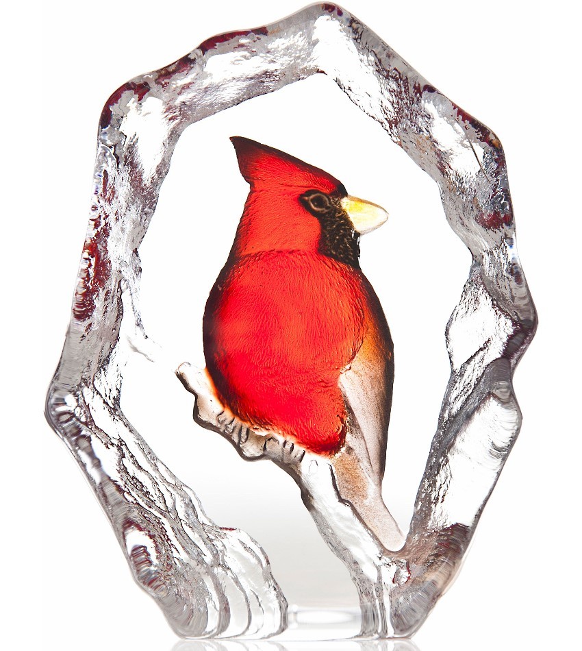 MJ34264 - Cardinal