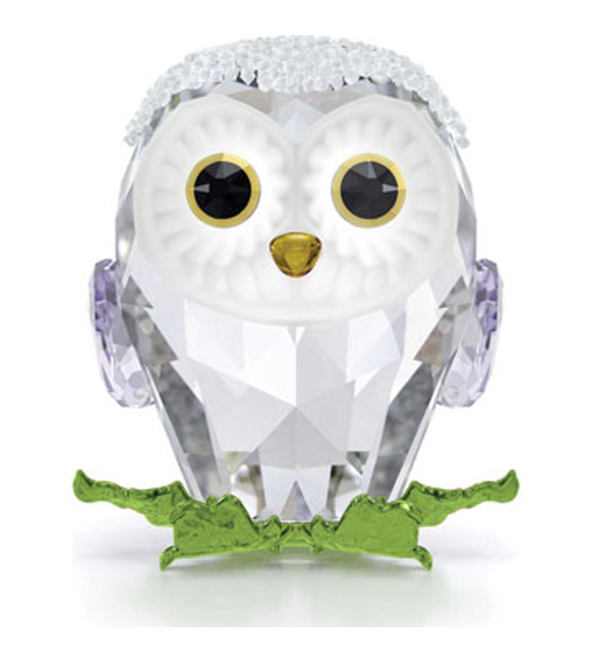 S5684483 - Baby Owl