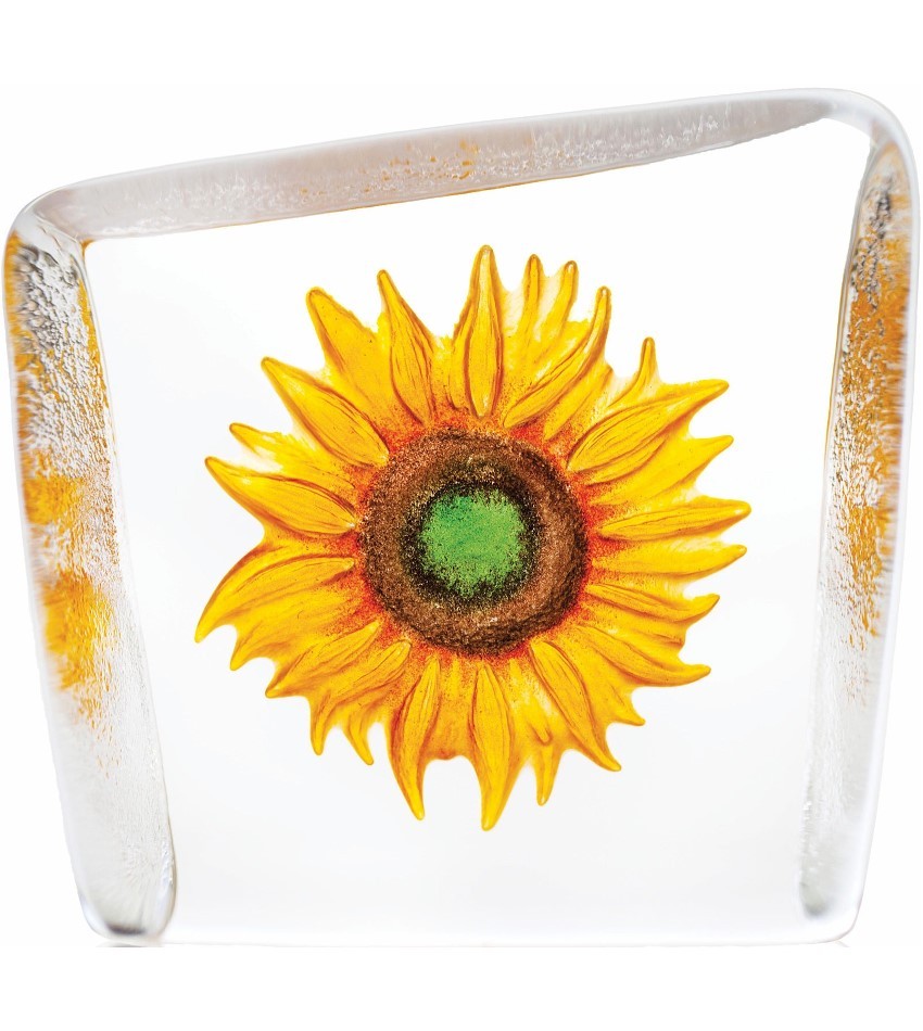 MJ33869 - Sunflower