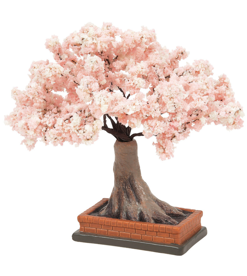 DT6015653 - Cherry Blossom in Bloom
