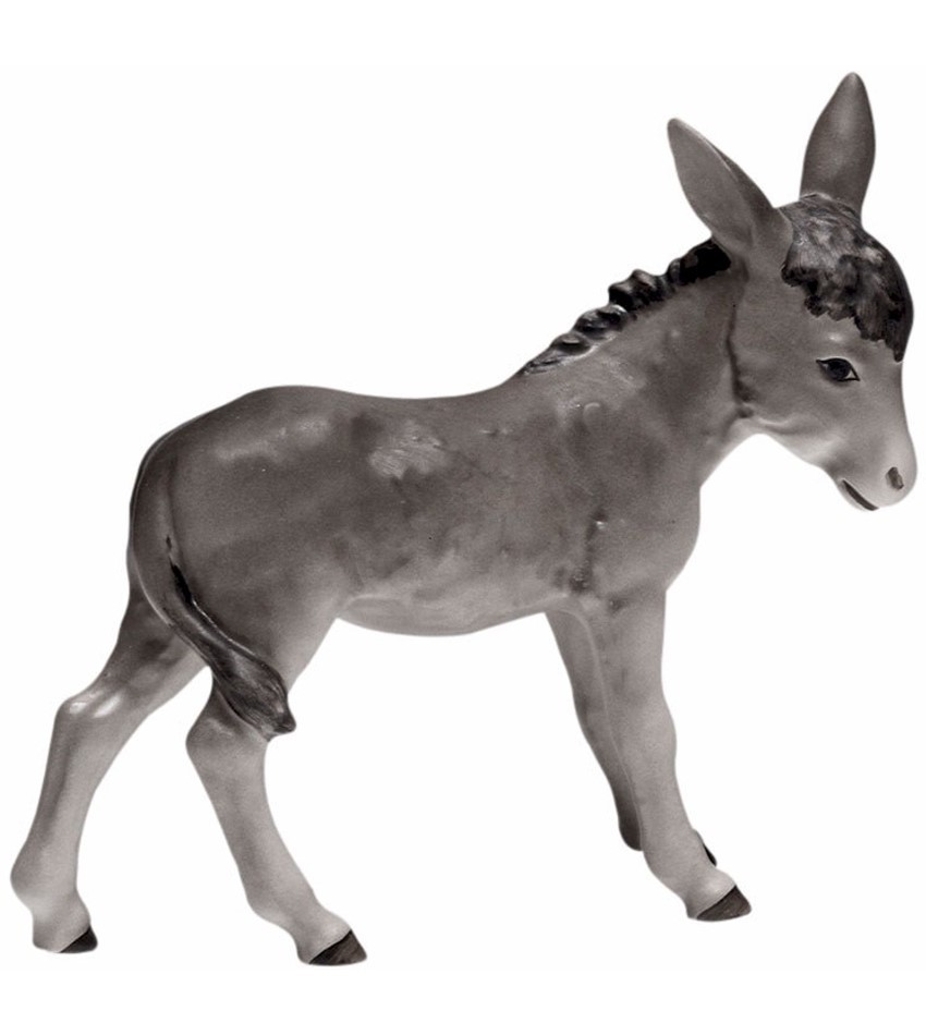 214/00J/0 - Donkey