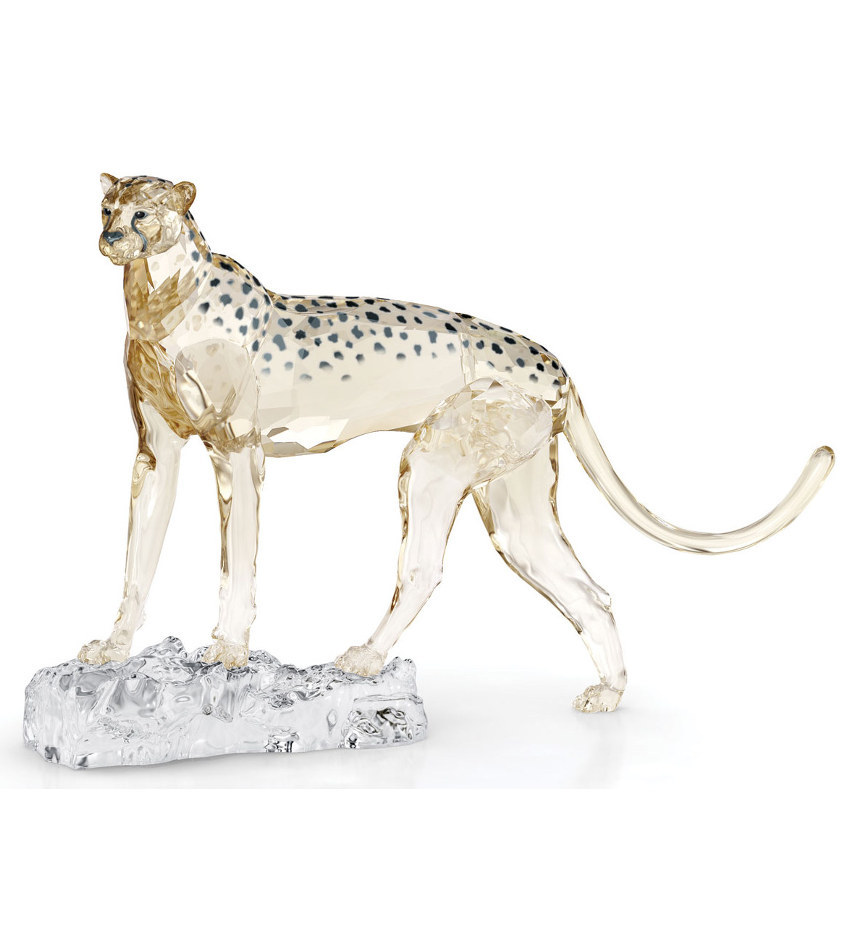 S5636241 - Cheetah Mehira