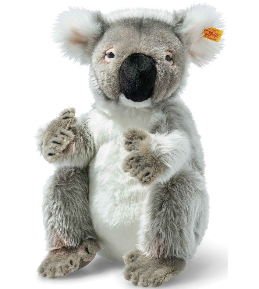 ST067693 - Colo Koala