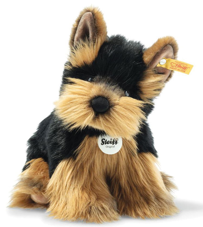 ST076923 - Herkules Yorkshire Terrier