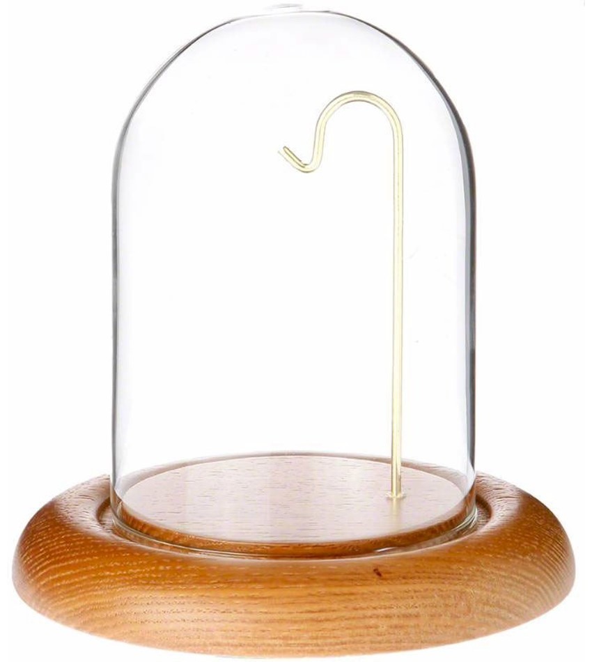 WP331-OK - Glass Dome with Oak Base & Brass Wire
