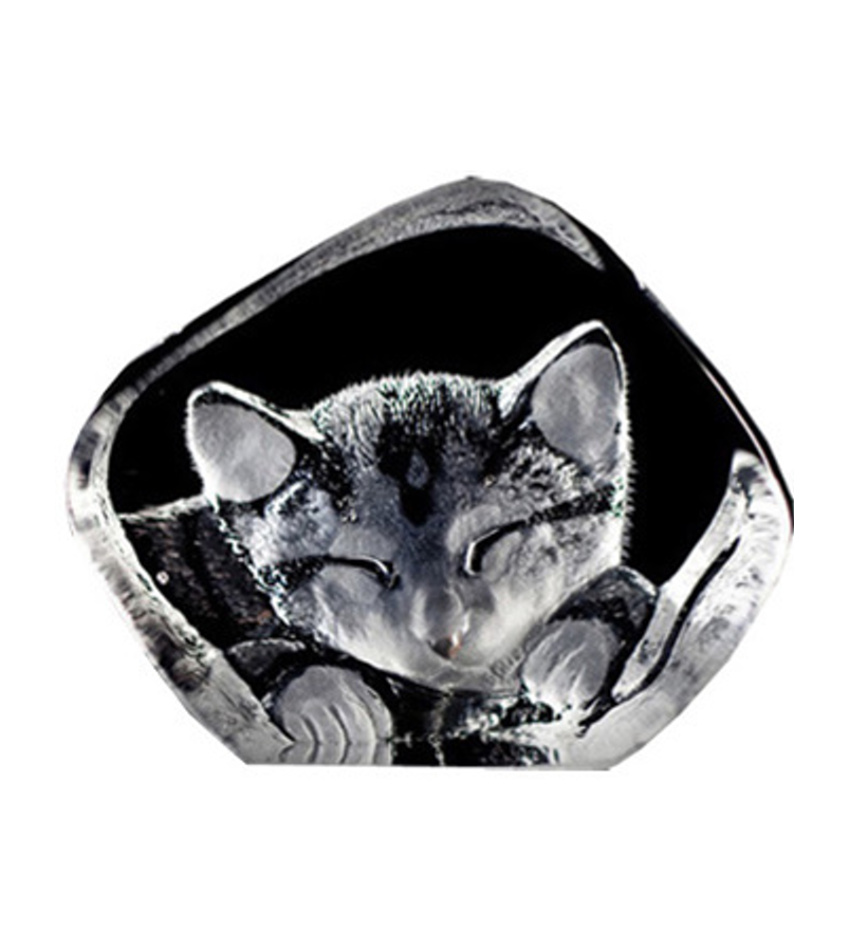 MJ88143 - Cat Miniature