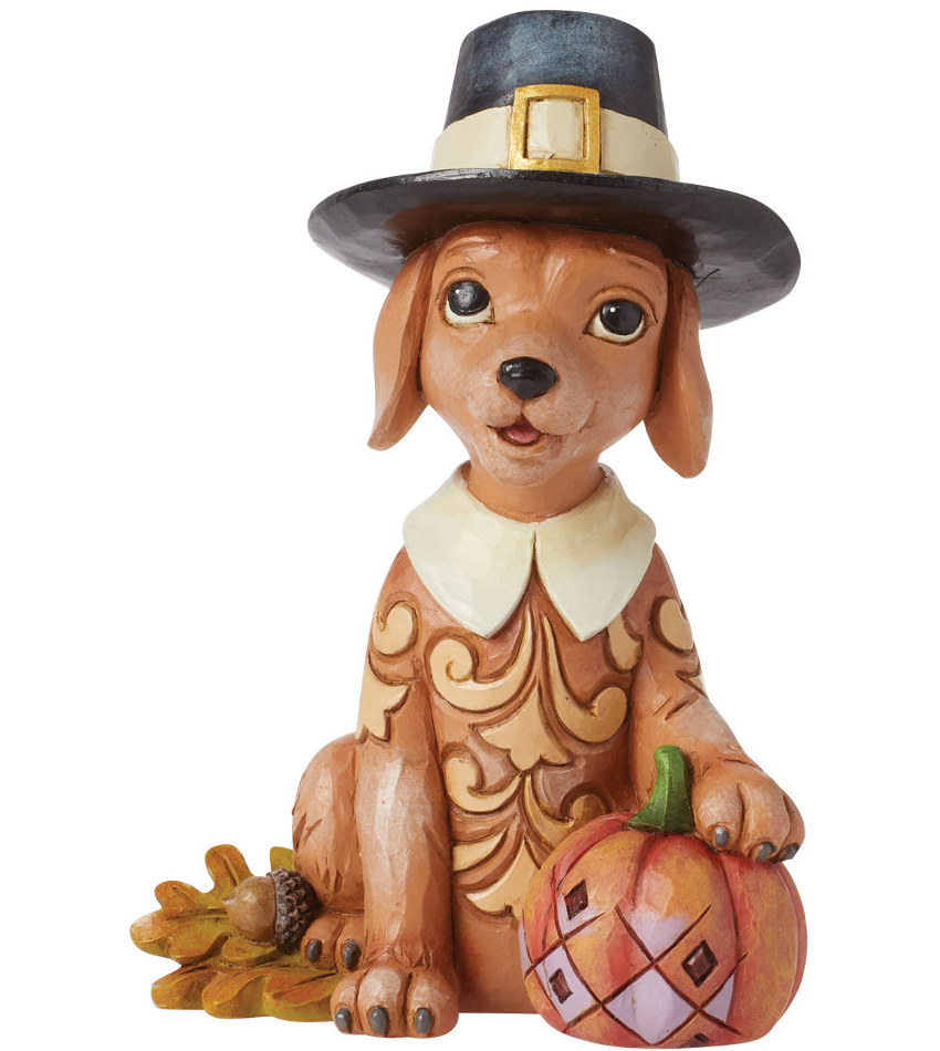 JS6014494 - Dog with Pilgrim Hat