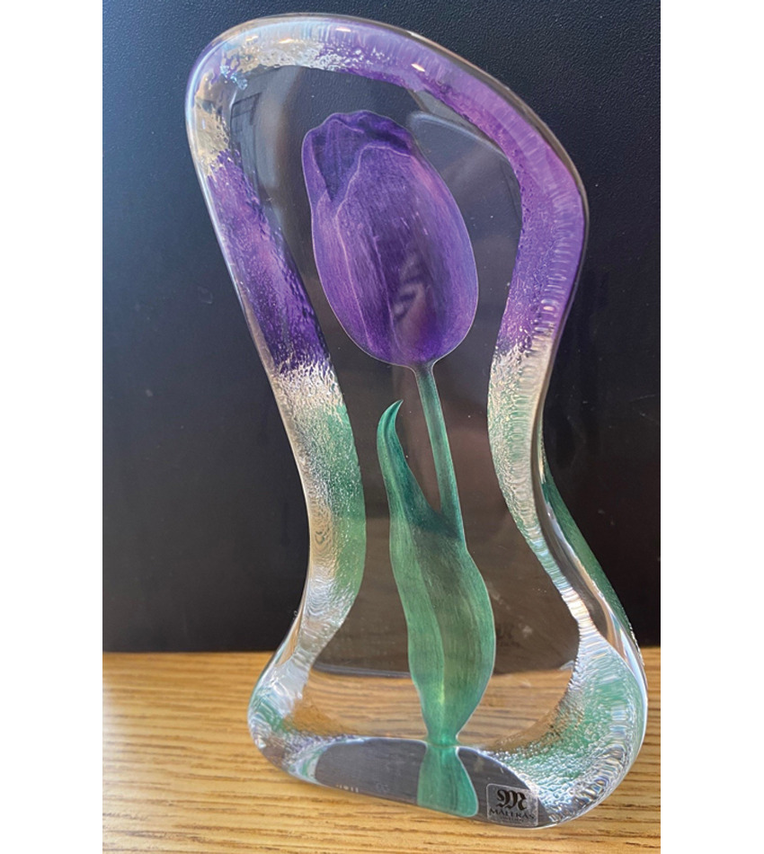 MJ34011 - Tulip Purple