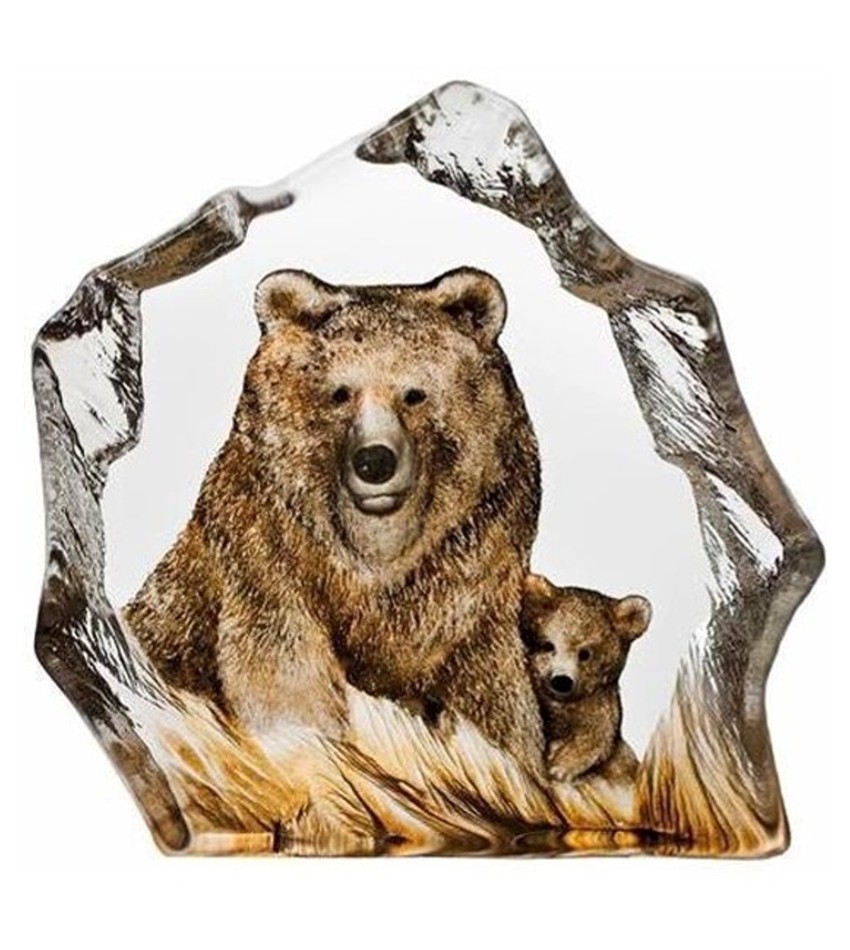 MJ33889 - Brown Bear