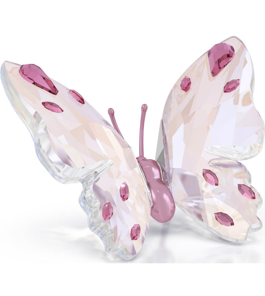 S5691959 - Idyllia Butterfly, small