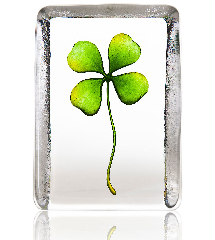 MJ34243 - Four Leaf Clover