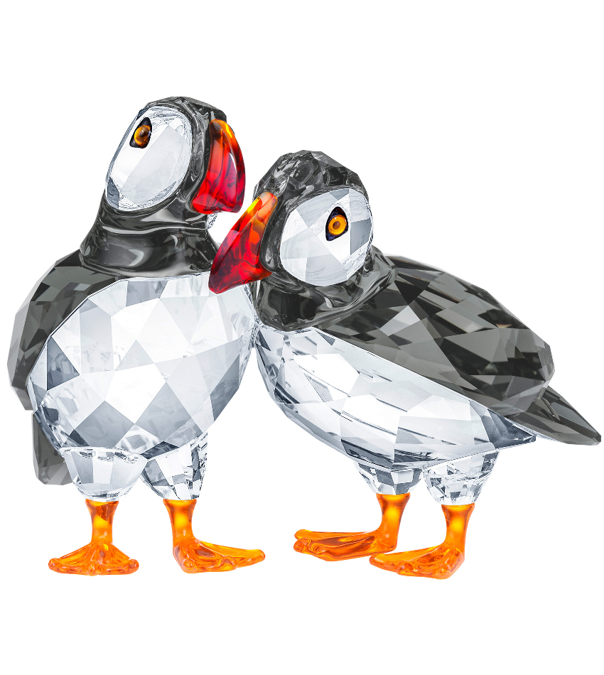 S5472475 - Atlantic Puffins