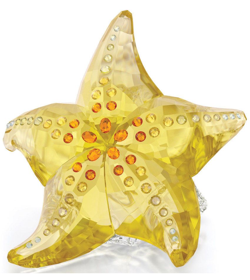 S5690901 - Starfish