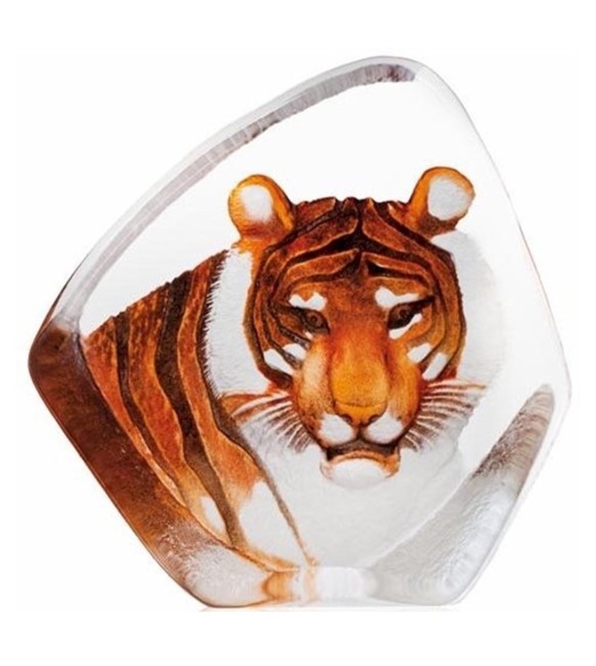 MJ33861 - Tiger