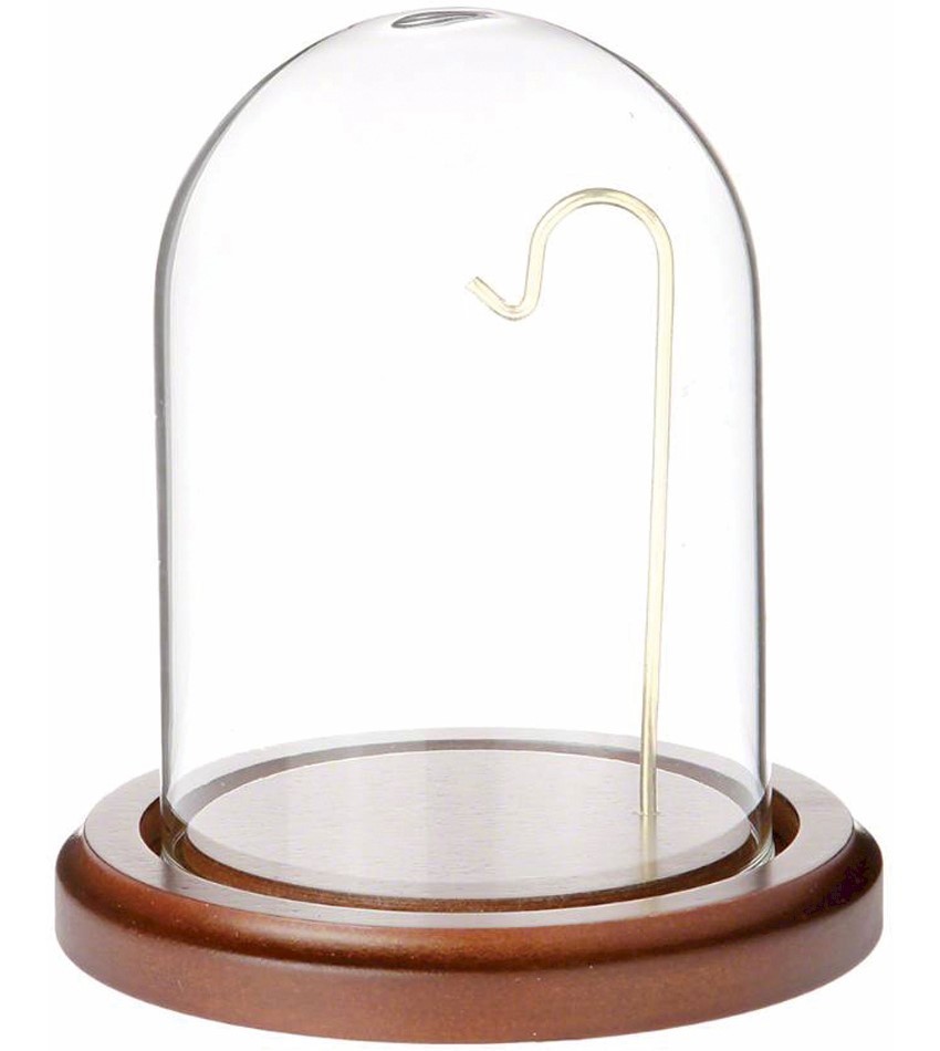 WP331-B - Glass Dome with Walnut Base & Brass Wire