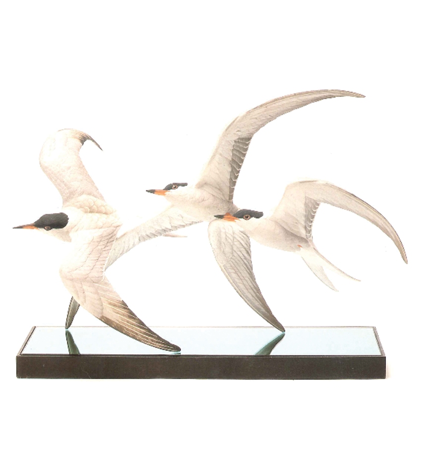101190 - Terns Common
