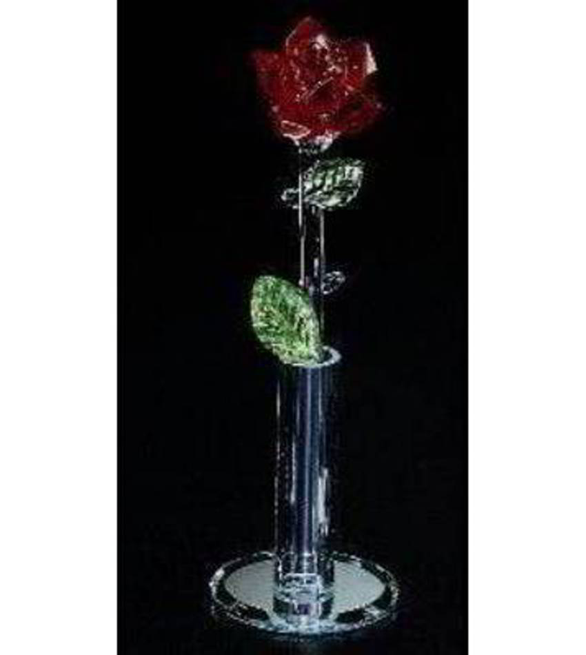 CW882 - Long Stem Rose in Vase