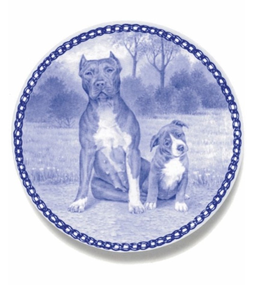 DP3081 - American Pit Bull Terrier