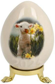 G119905 - 2024 Annual Egg