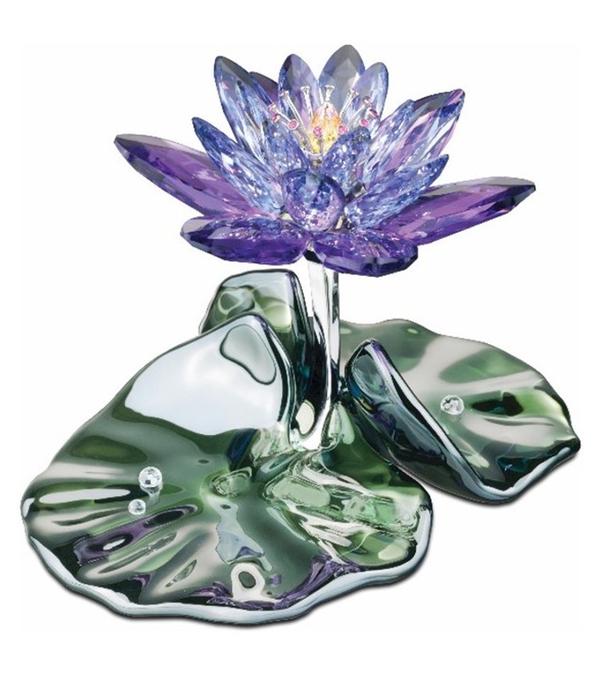 S1141630 - Water Lily, Blue Violet