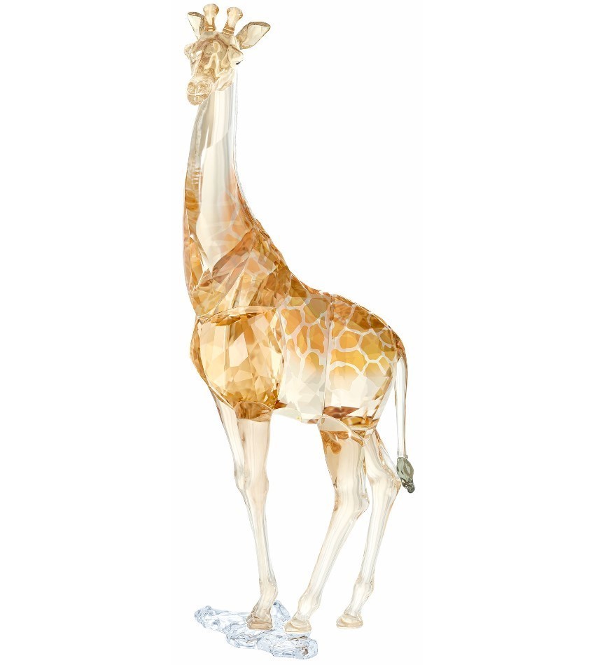 S5301550 - Giraffe Mudiwa