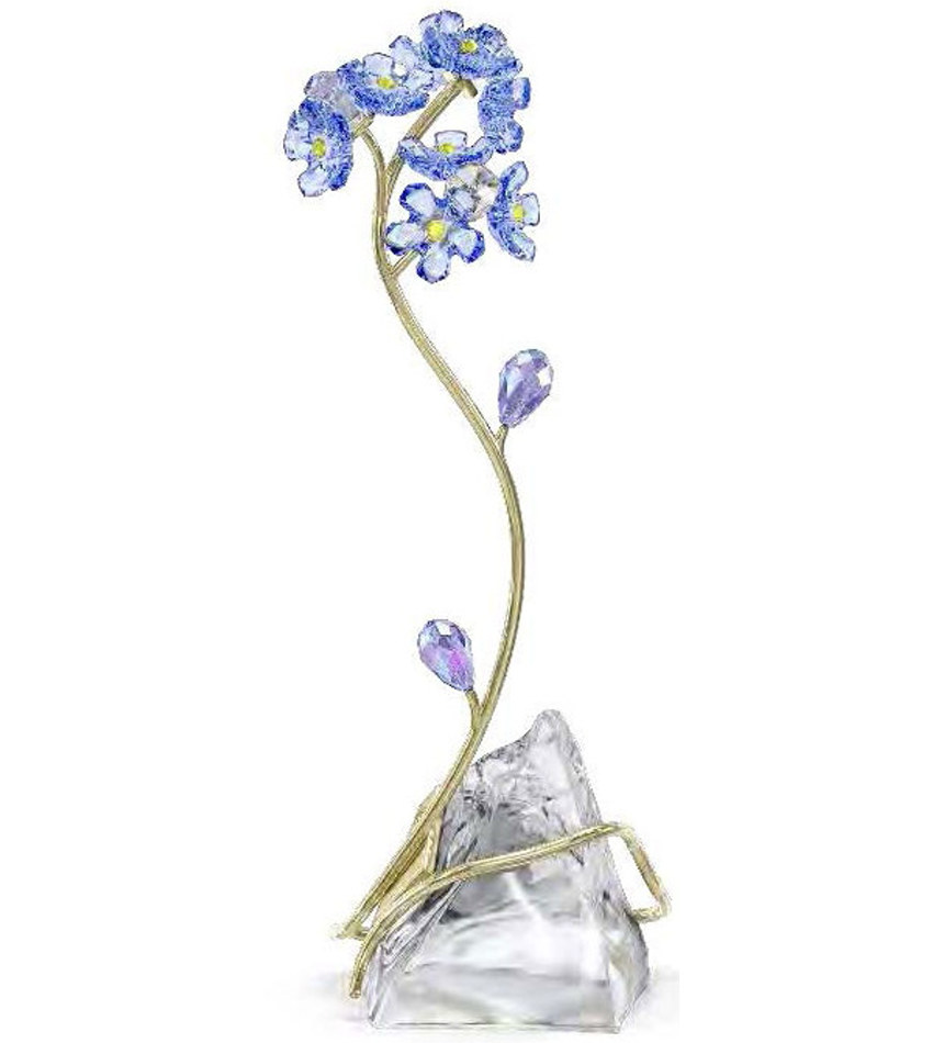 S5666971 - Florere Forget-me-not